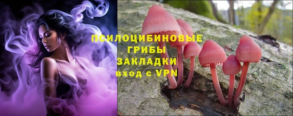 2c-b Балахна