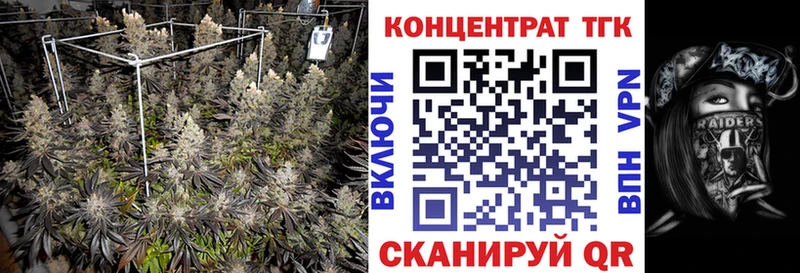 ТГК Wax  Лесной 