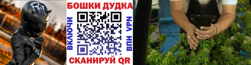 Каннабис планчик  где можно купить наркотик  Лесной 
